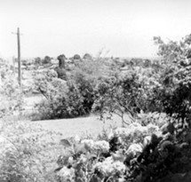 View from Harding Street in early 1900s